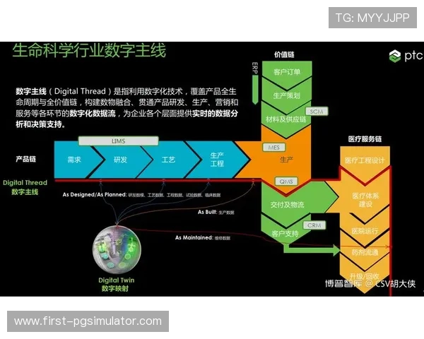 罗马最新动态揭示城市发展新方向与未来规划成果